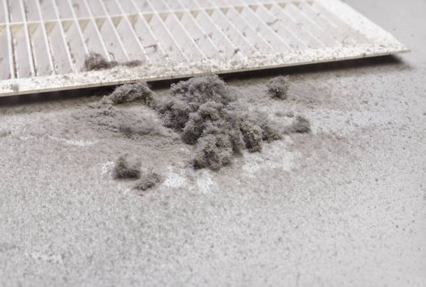 Best HVAC Duct Inspection Services  in Aberdeen, ID